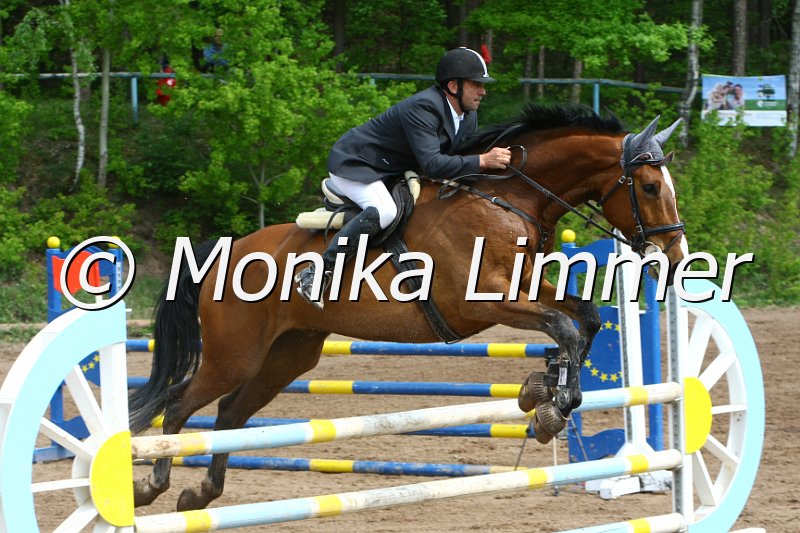 104M3434_Cool Casys_Punkte L.JPG